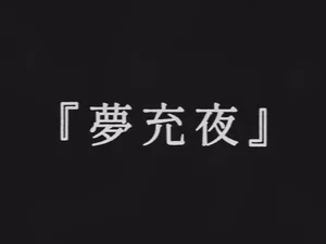 Ночь мечты