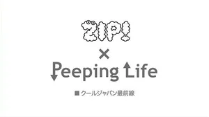 Сложности жизни x ZIP!